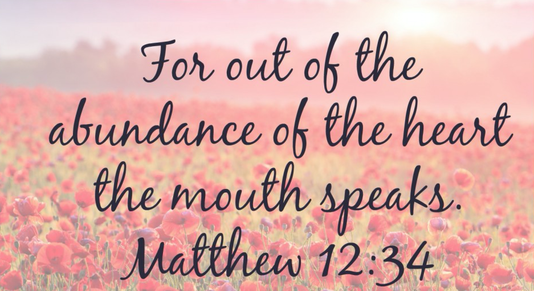 Screen Shot 2017 08 12 at 1.16.04 PM