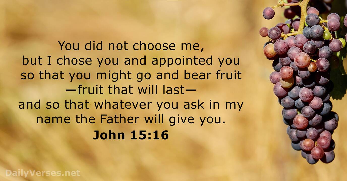 john 15 16
