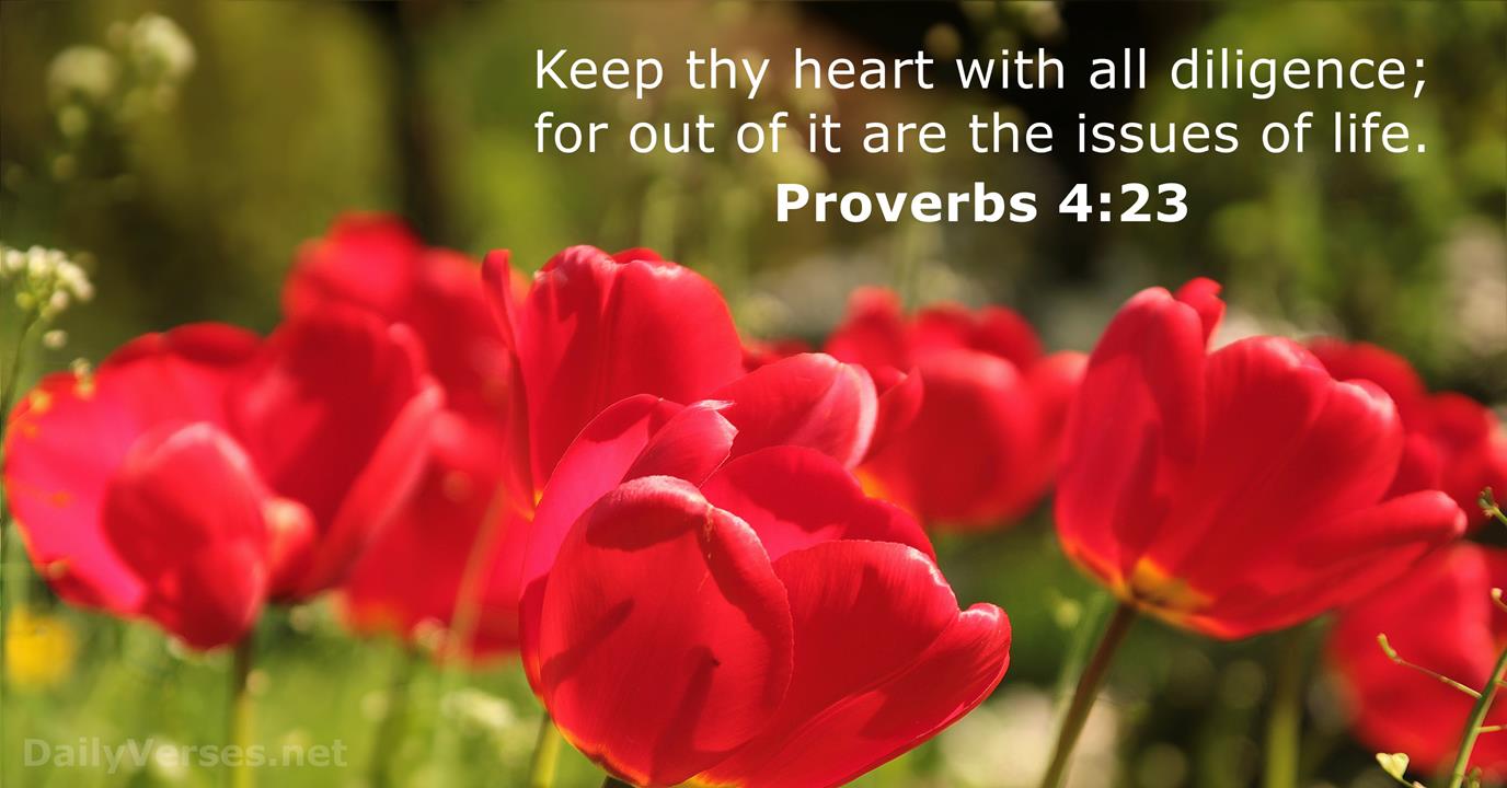 proverbs 4 23 2