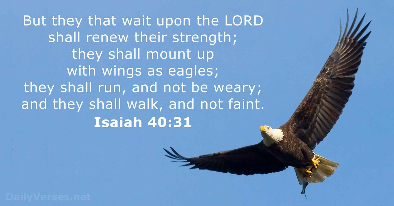 isaiah 40 31