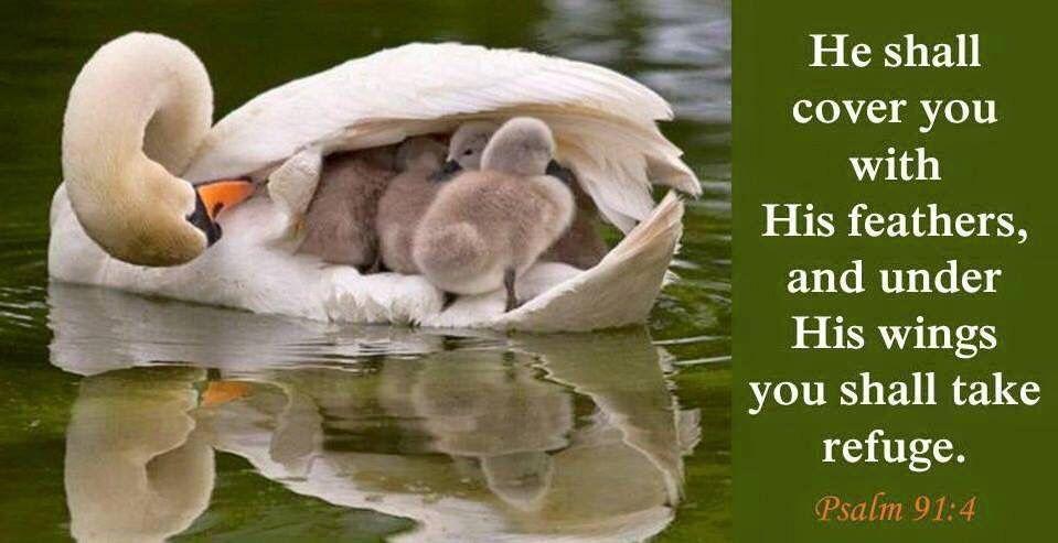 psalm 91